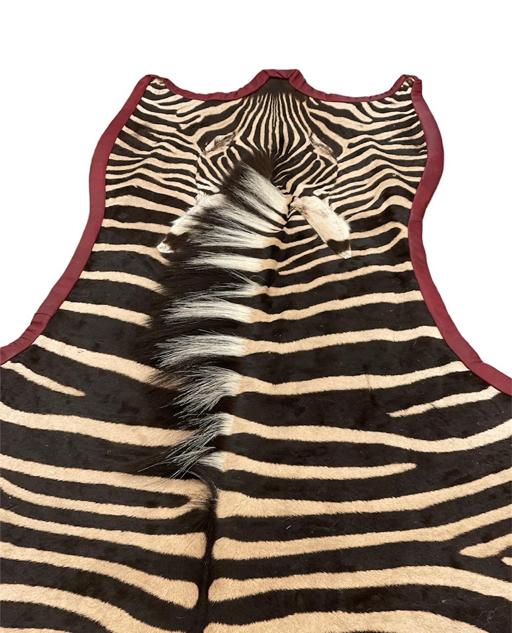Gomez Zebra Hide Rug Trimmed in Burgundy Leather In New Condition For Sale In Saint Louis, US