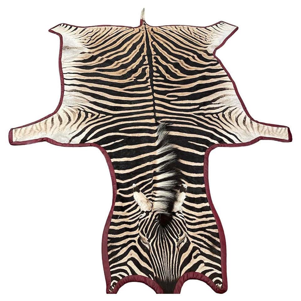 Gomez Zebra Hide Rug Trimmed in Brown Italian Leather For Sale at 1stDibs