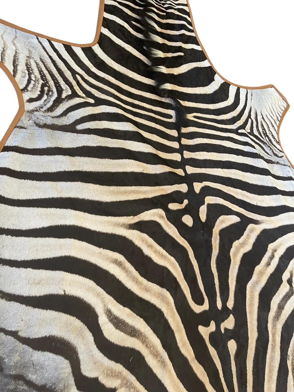 Gomez Zebrafell-Teppich mit Besatz aus gebranntem orangefarbenem italienischem Leder (Moderne) im Angebot
