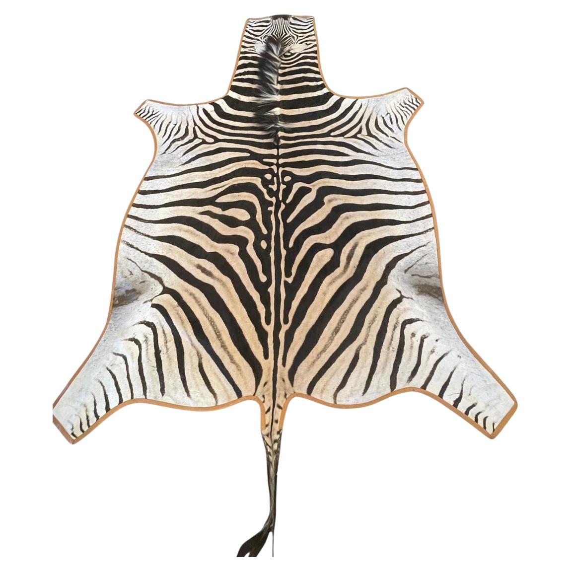 Gomez Zebra Hide Rug Trimmed in Burnt Orange Italian Leather