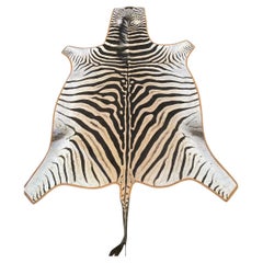 Gomez Zebra Hide Rug Trimmed in Burnt Orange Italian Leather