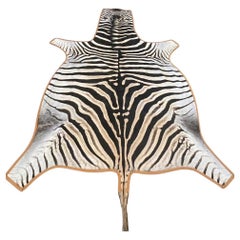 Gomez Zebra Hide Rug Trimmed in Burnt Orange Italian Leather