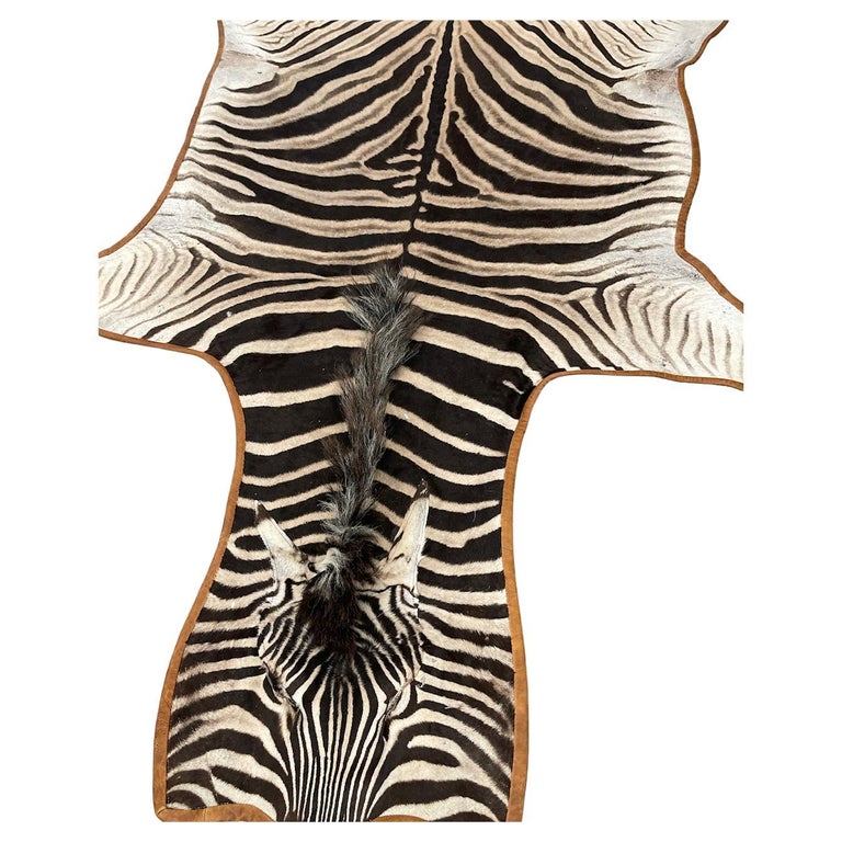 Gomez Zebra Hide Rug Trimmed in Light Brown Italian Leather For Sale at