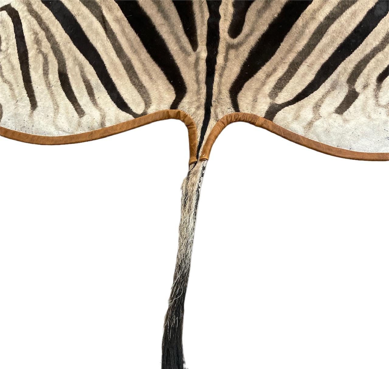 American Gomez Zebra Hide Rug Trimmed in Light Brown Italian Leather For Sale