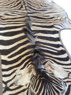 Gomez Alfombra de piel de cebra ribeteada en cuero italiano gris claro