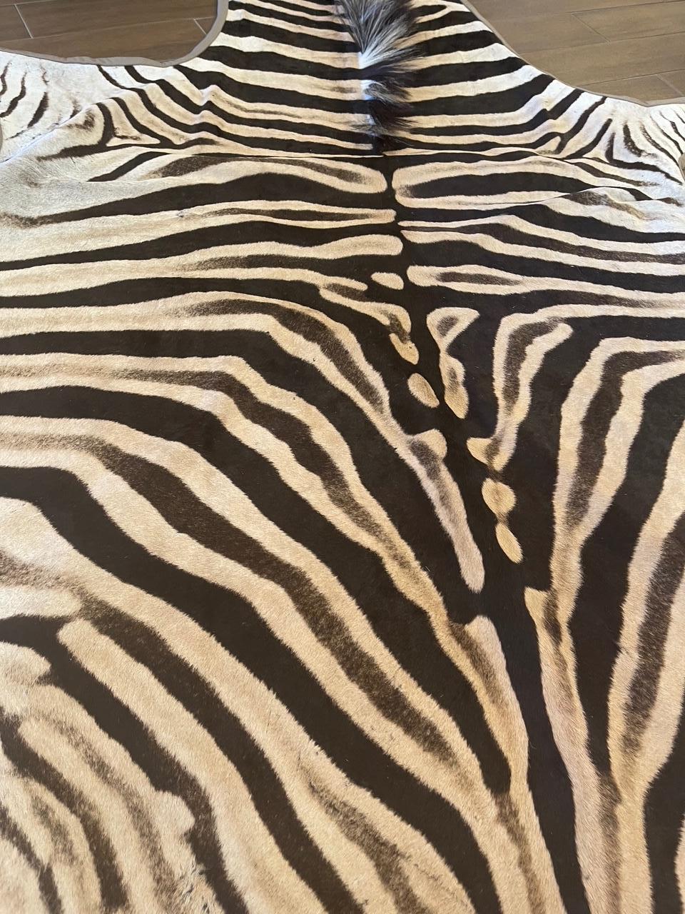 Gomez Alfombra de piel de cebra ribeteada en cuero italiano gris claro Estadounidense en venta