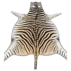 Gomez Zebra Hide Rug Trimmed in Light Grey Italian Leather