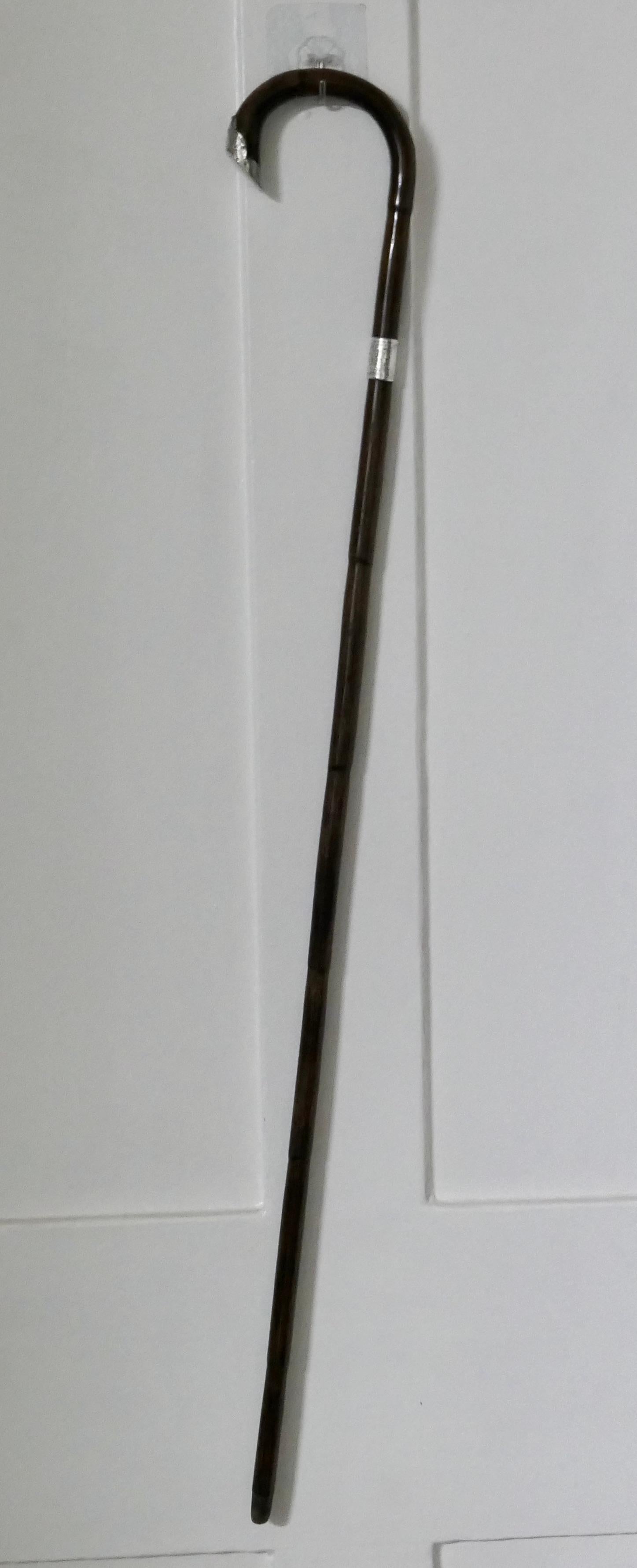 Good Bamboo walking stick with silver hall marked collar & handle.

The Cane dates from 1900 is in good antique condition a little wear to the Silver collar and general wear consistent with age.

The cane is 36” long 
GF84.
