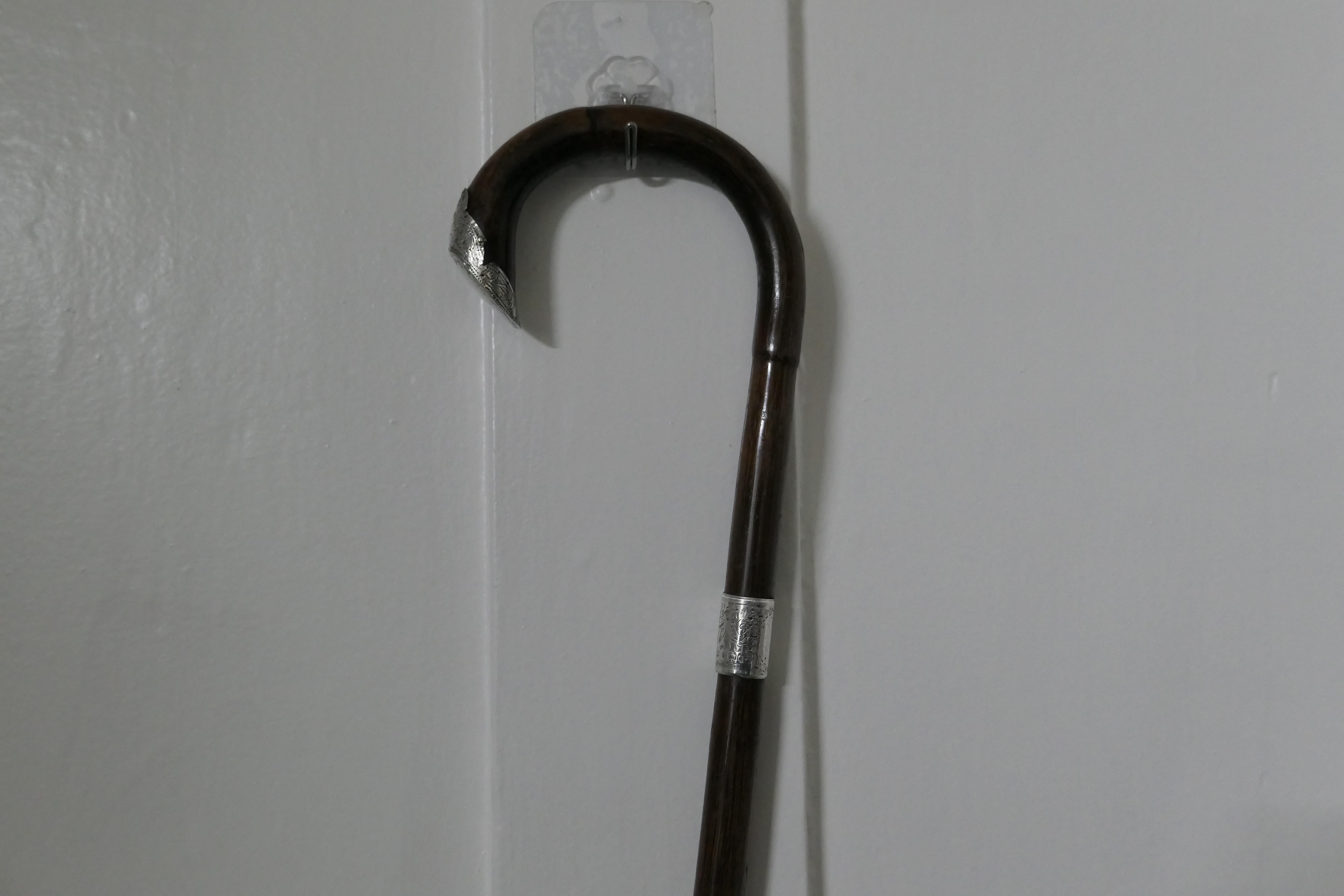 Adam Style Good Bamboo Walking Stick With Silver Hall Marked Collar & Handle.   