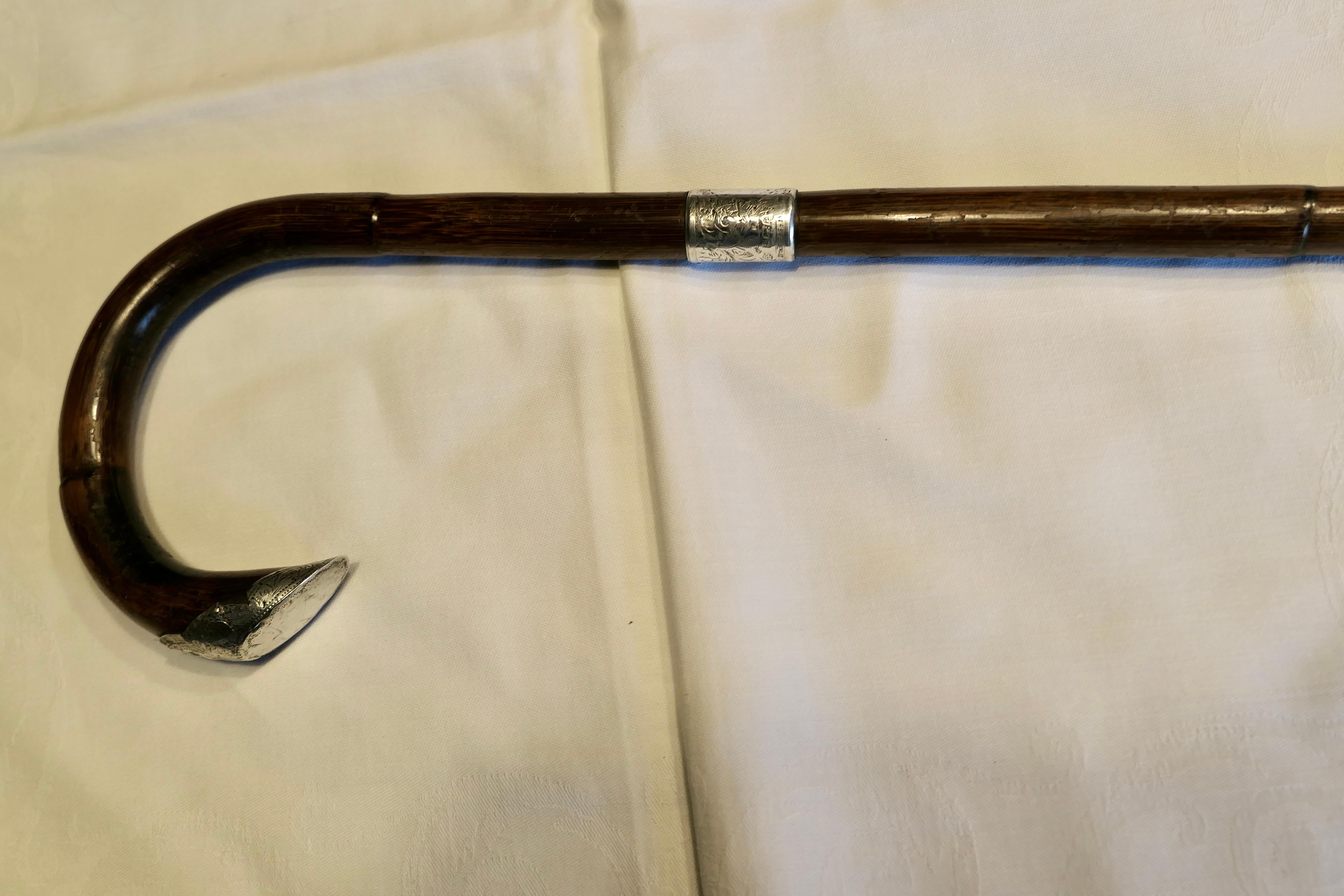 Good Bamboo Walking Stick With Silver Hall Marked Collar & Handle.    In Good Condition In Chillerton, Isle of Wight