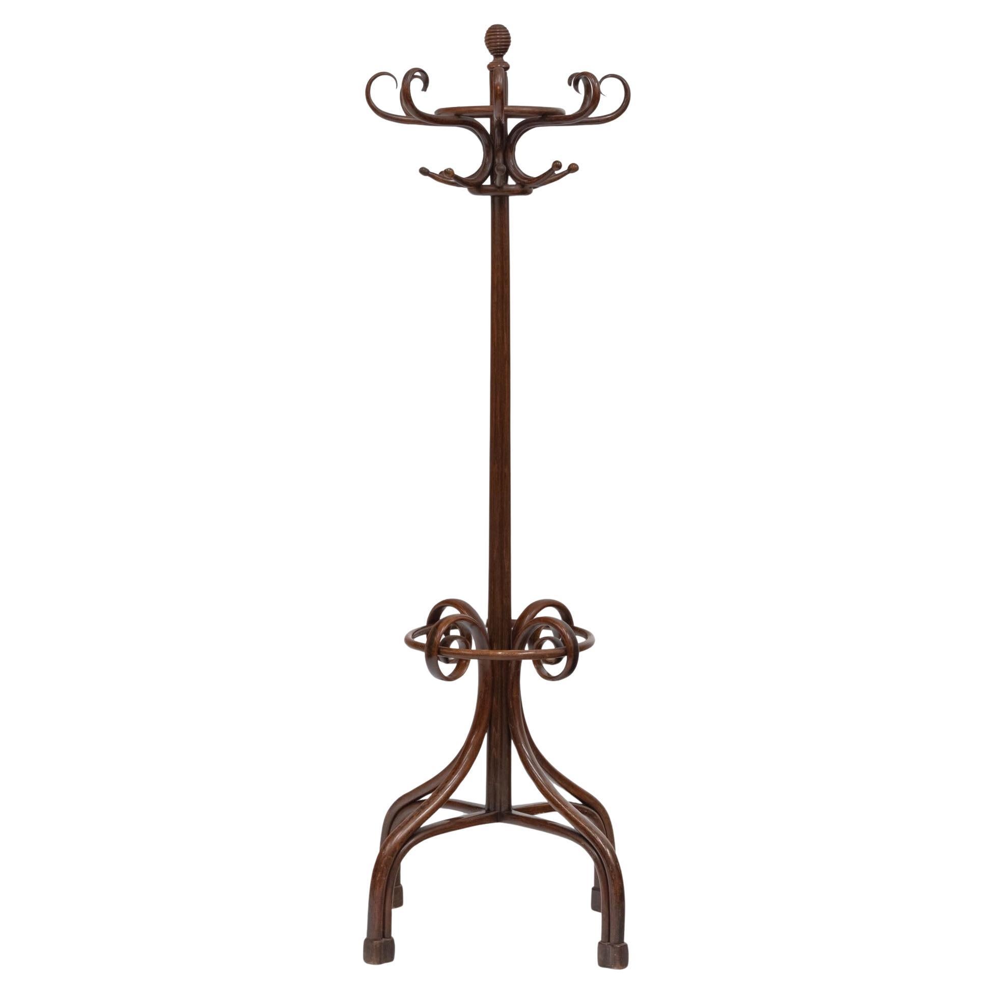 Bon début du 20ème siècle Grand Stand de Manteau en Bentwood Circa 1900