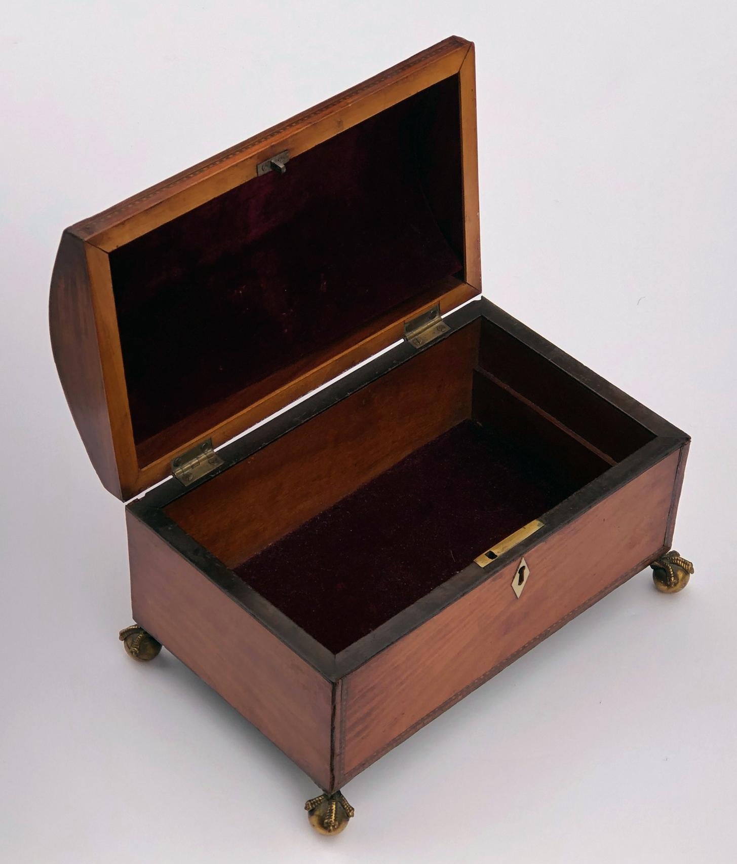 with domed lid centering an inlaid shell medallion; all resting on a rectangular body raised on brass ball and claw feet; later velvet-lined interior.