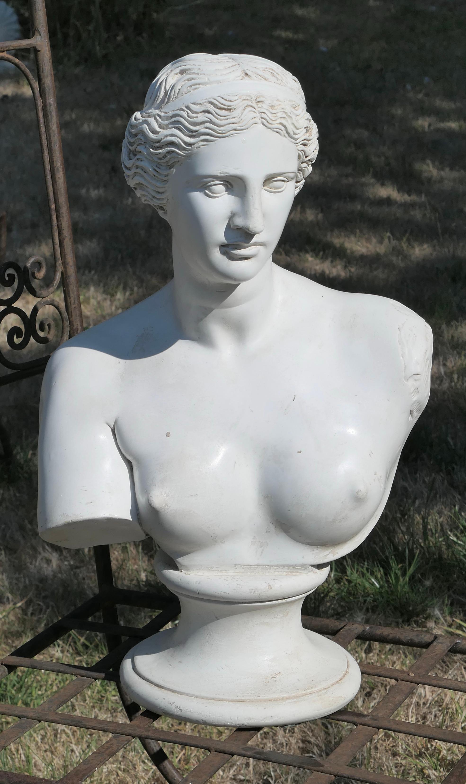Good plaster bust of the Venus de Milo.
 
A good plaster bust of the Venus de Milo this is a good quality bust, it is made in plaster and has a good aged patina 
The Bust shows in fine detail some of the damage on the right hand side of the
