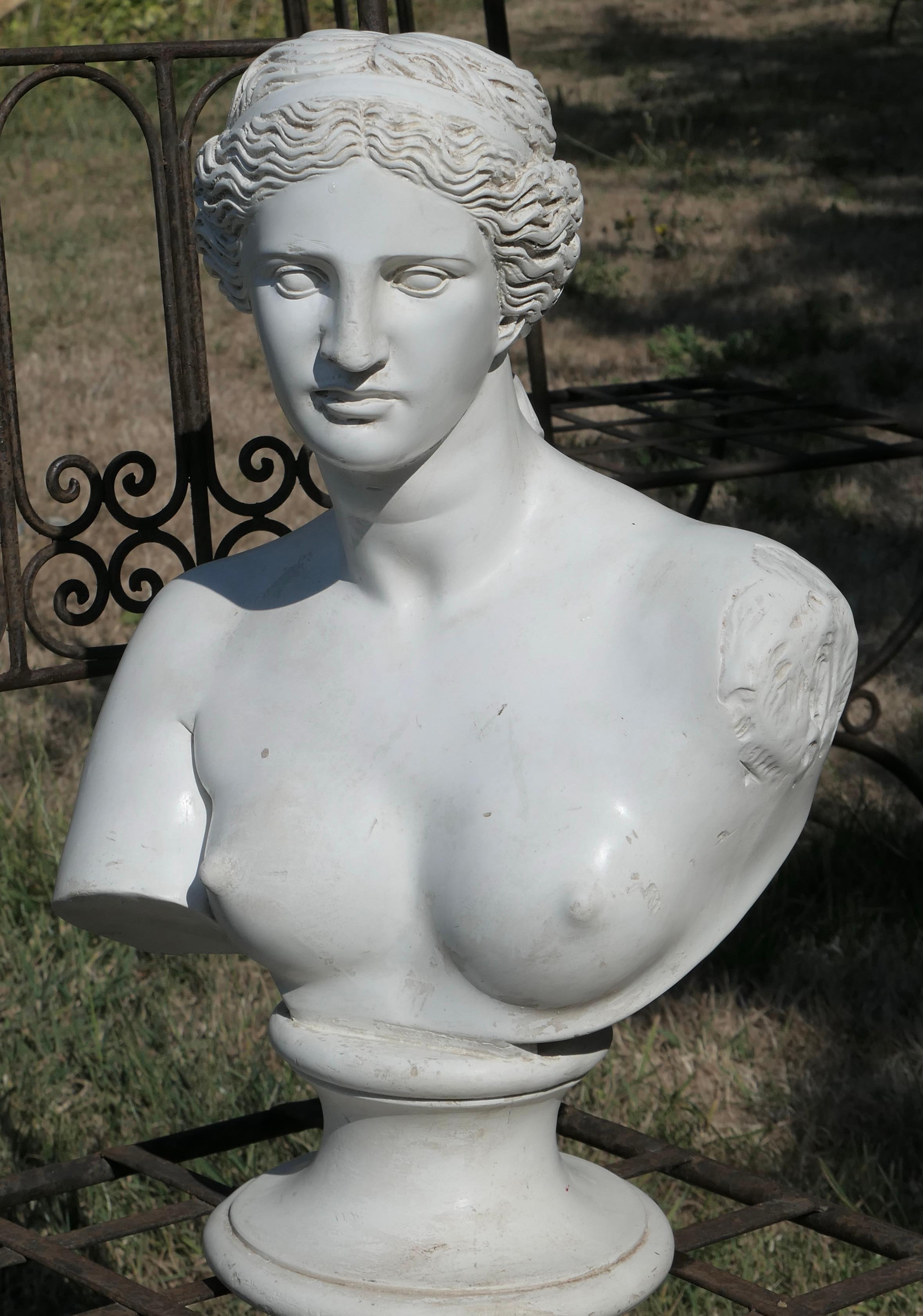 Gute Gipsbüste der Venus von Milo (Griechisch-römisch) im Angebot