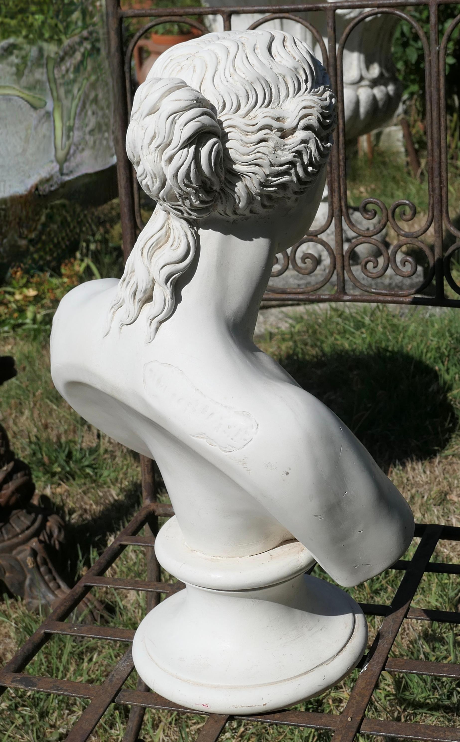 Greco Roman Good Plaster Bust of the Venus De Milo For Sale