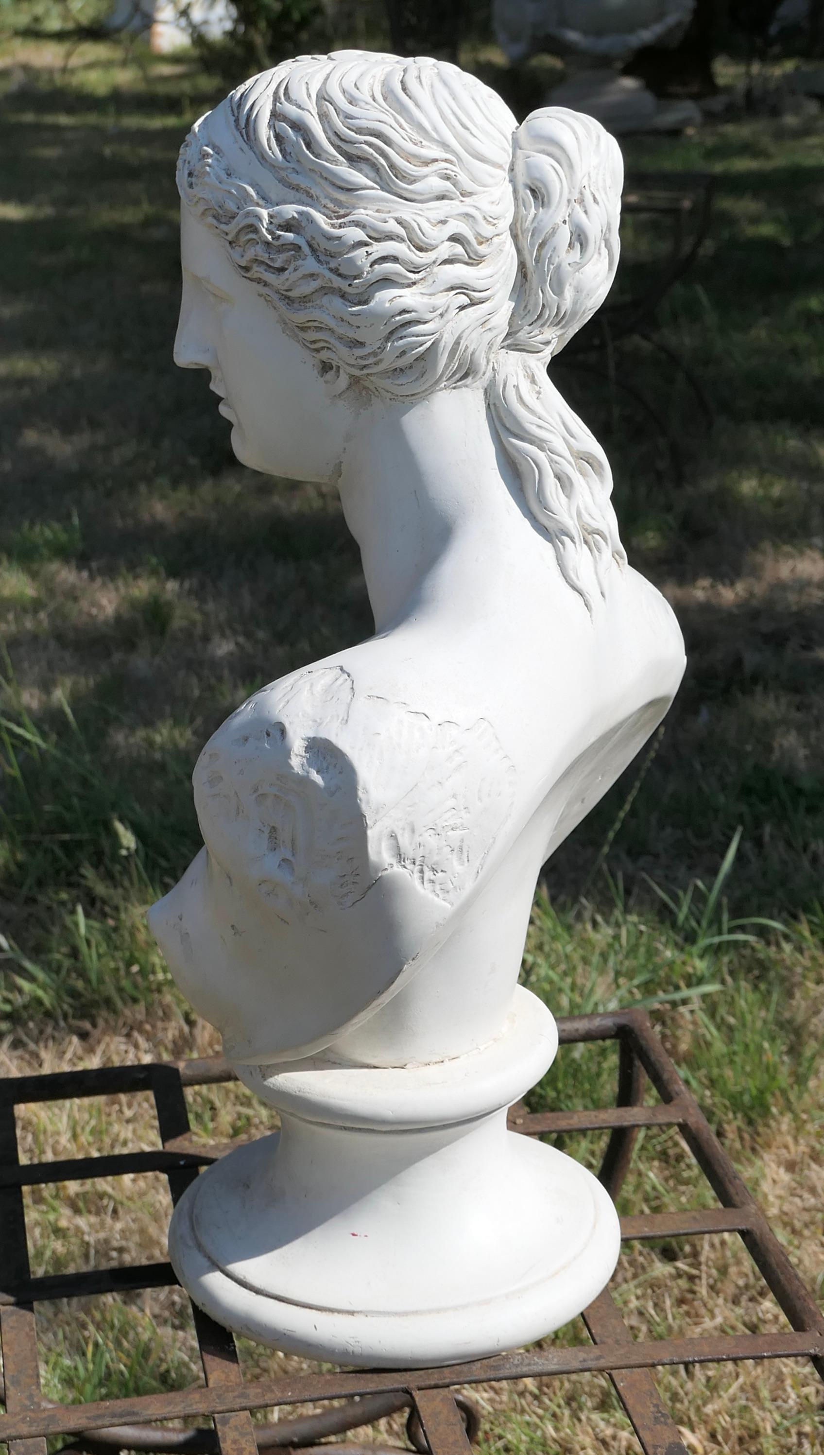 20th Century Good Plaster Bust of the Venus De Milo For Sale