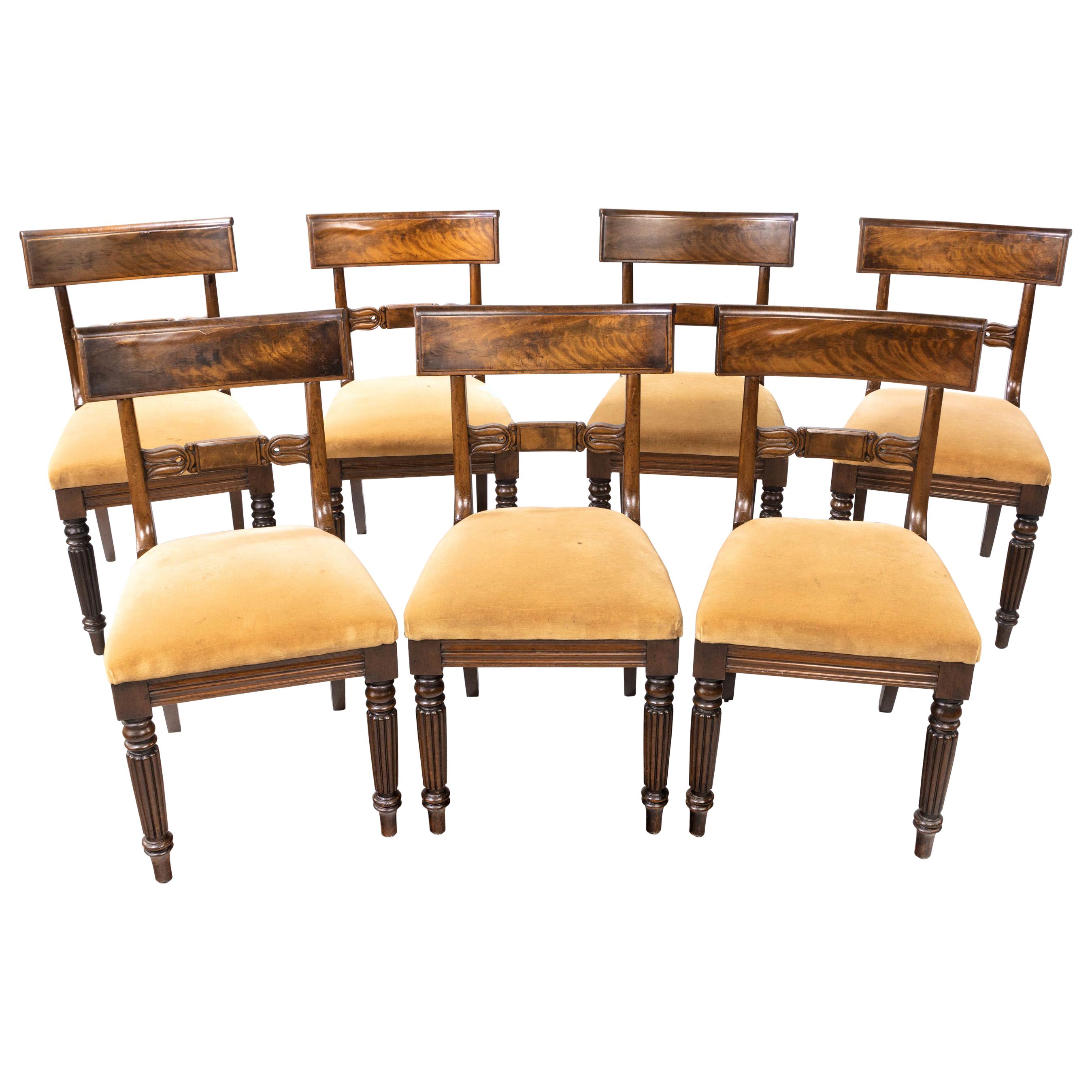 Good Set '6+1' of William iv Mahogany Framed Chairs