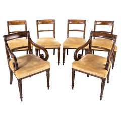 Good Set of Regency Period 4+2 Mahogany Framed Chairs