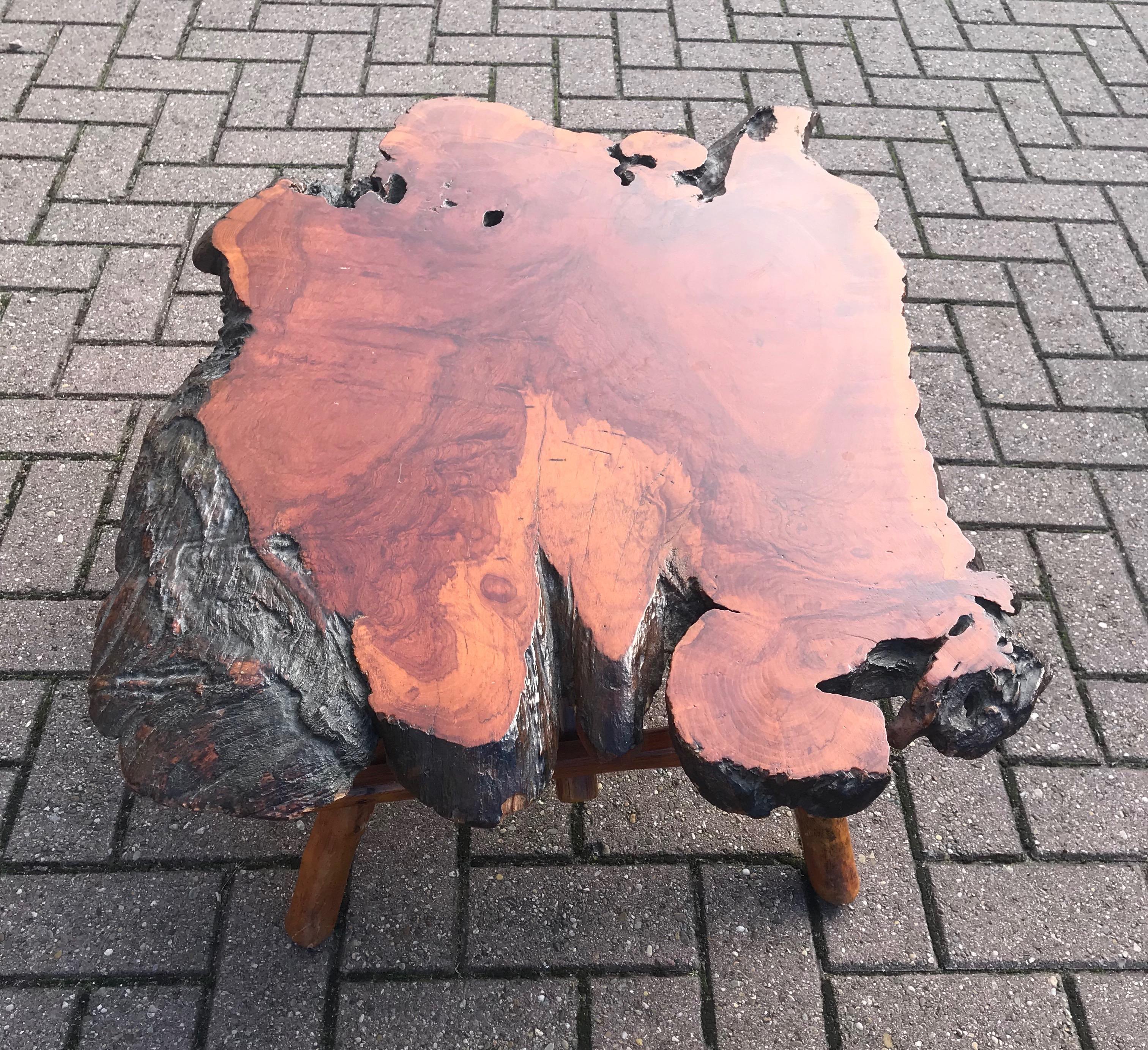Good Size Organical Shape Cherry Burl Tree Coffee Table, Stunning Grain In Good Condition In Lisse, NL