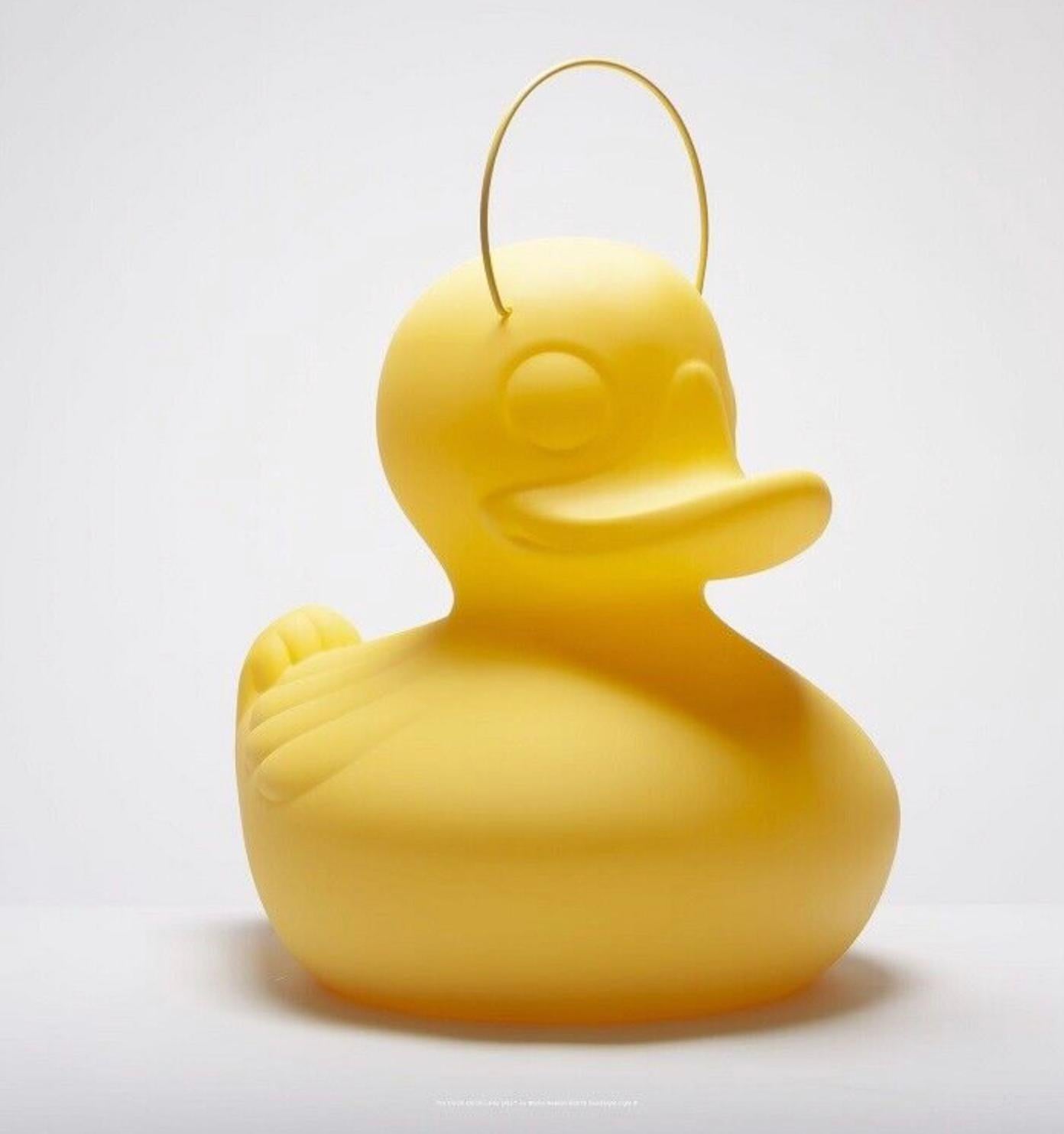 the duck lamp