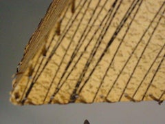 Googie Blossom Table Lamp