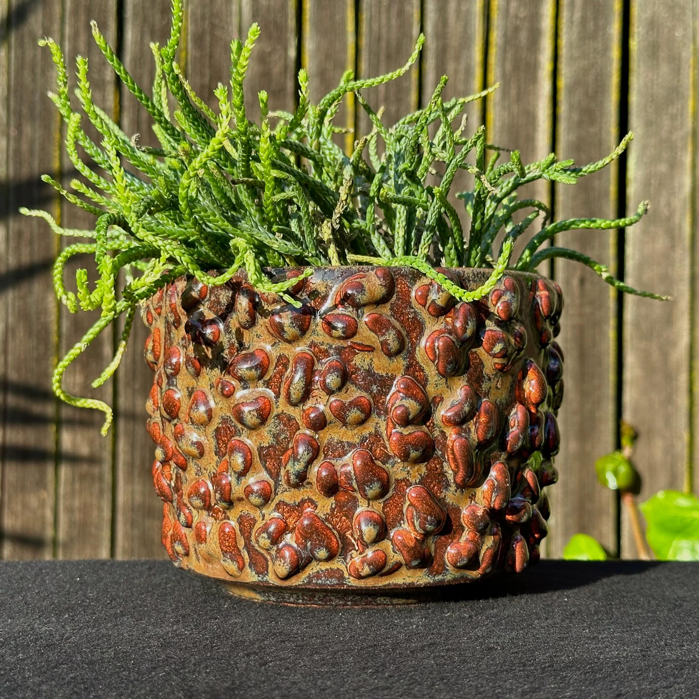 Designed and manufactured by Oakland artist Justin Kiene, these organic planters and vases are inspired by the shapes of the natural and microscopic world.

Each piece is hand thrown and glazed, making it unique in tone, shape and finish.

Origin: