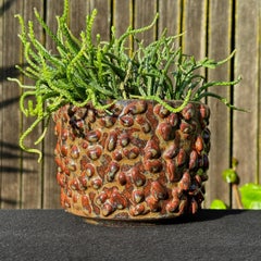 Goopy Amoeba Shiny Glazed Brown And Rust Planter