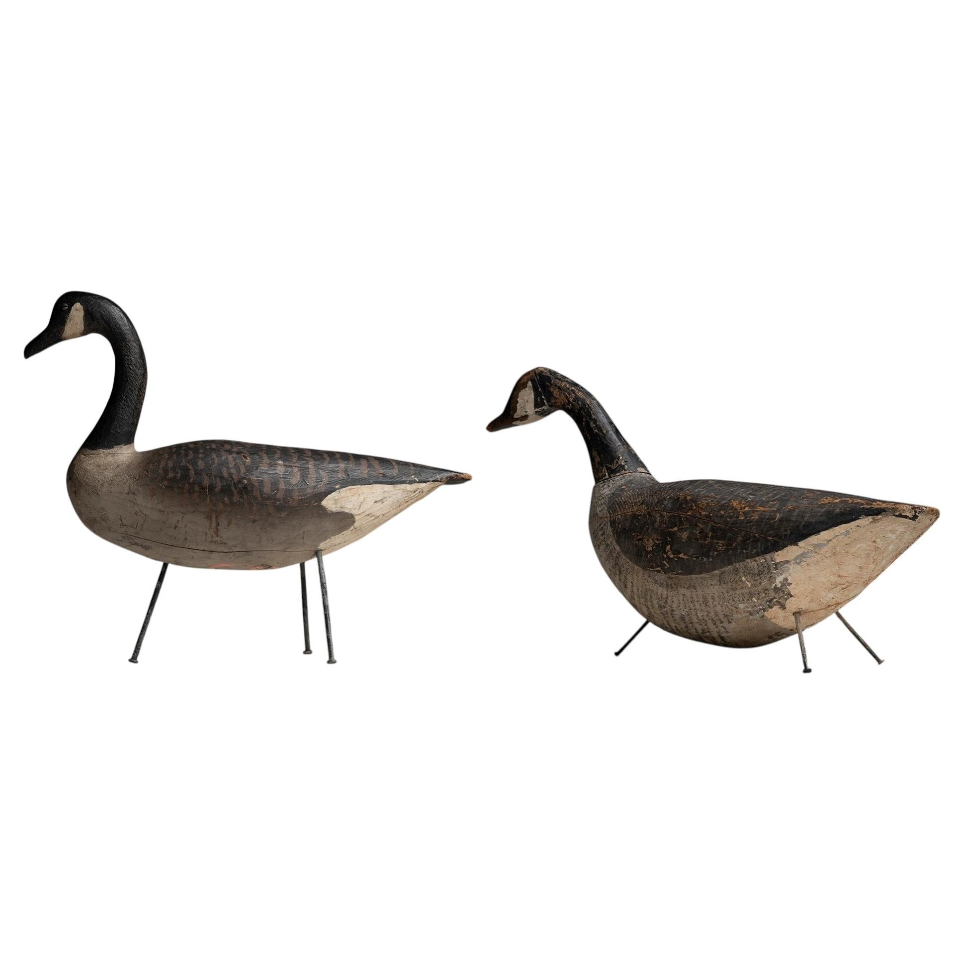 Goose Decoys, America circa 1940 For Sale