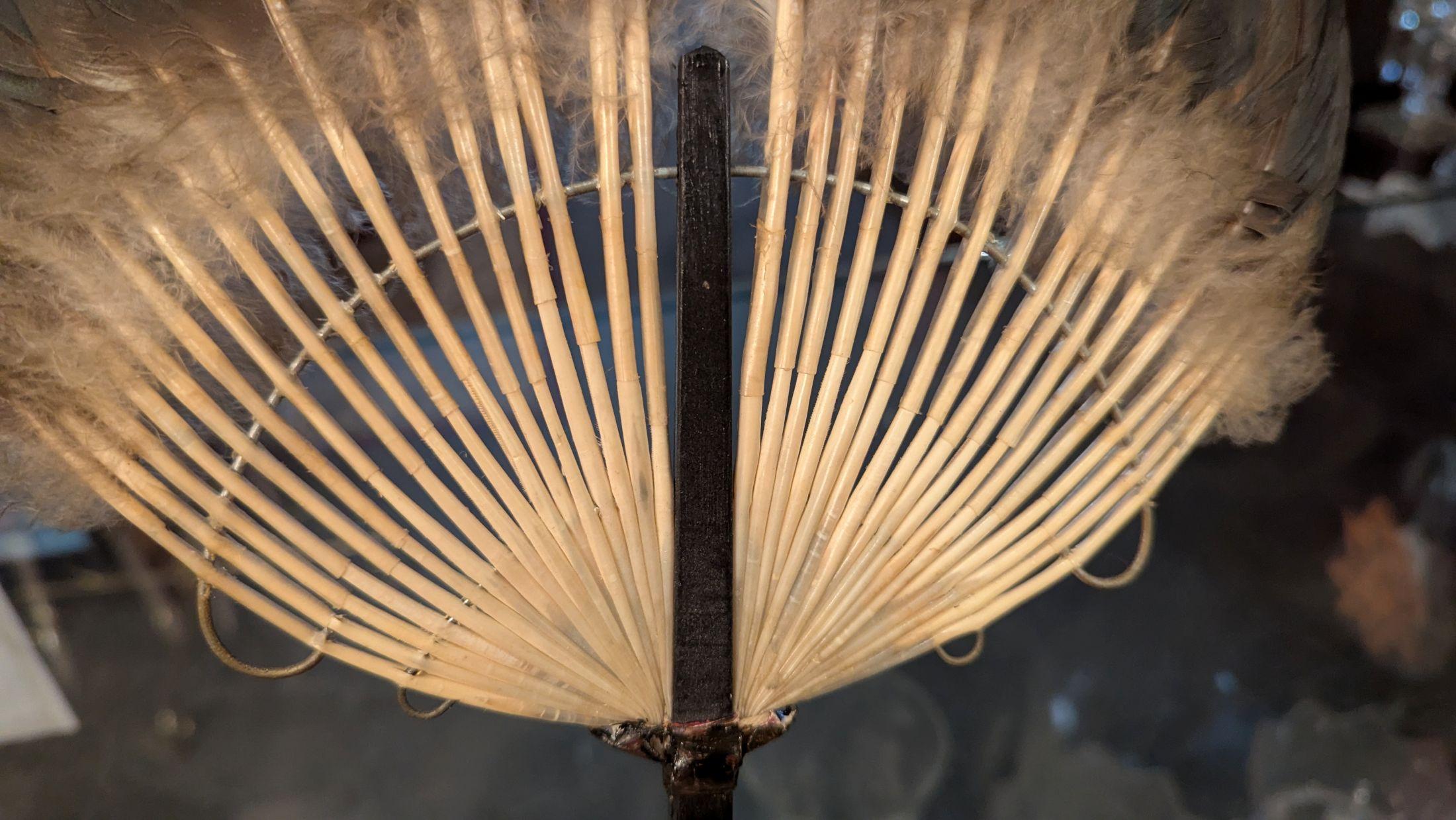 19th Century Goose Feather Hand Fan For Sale