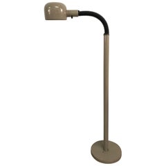 Goose Neck Adjustable Reading or Floor Lamp, 1970s