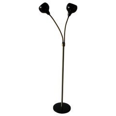 Goose Neck Floor Lamp