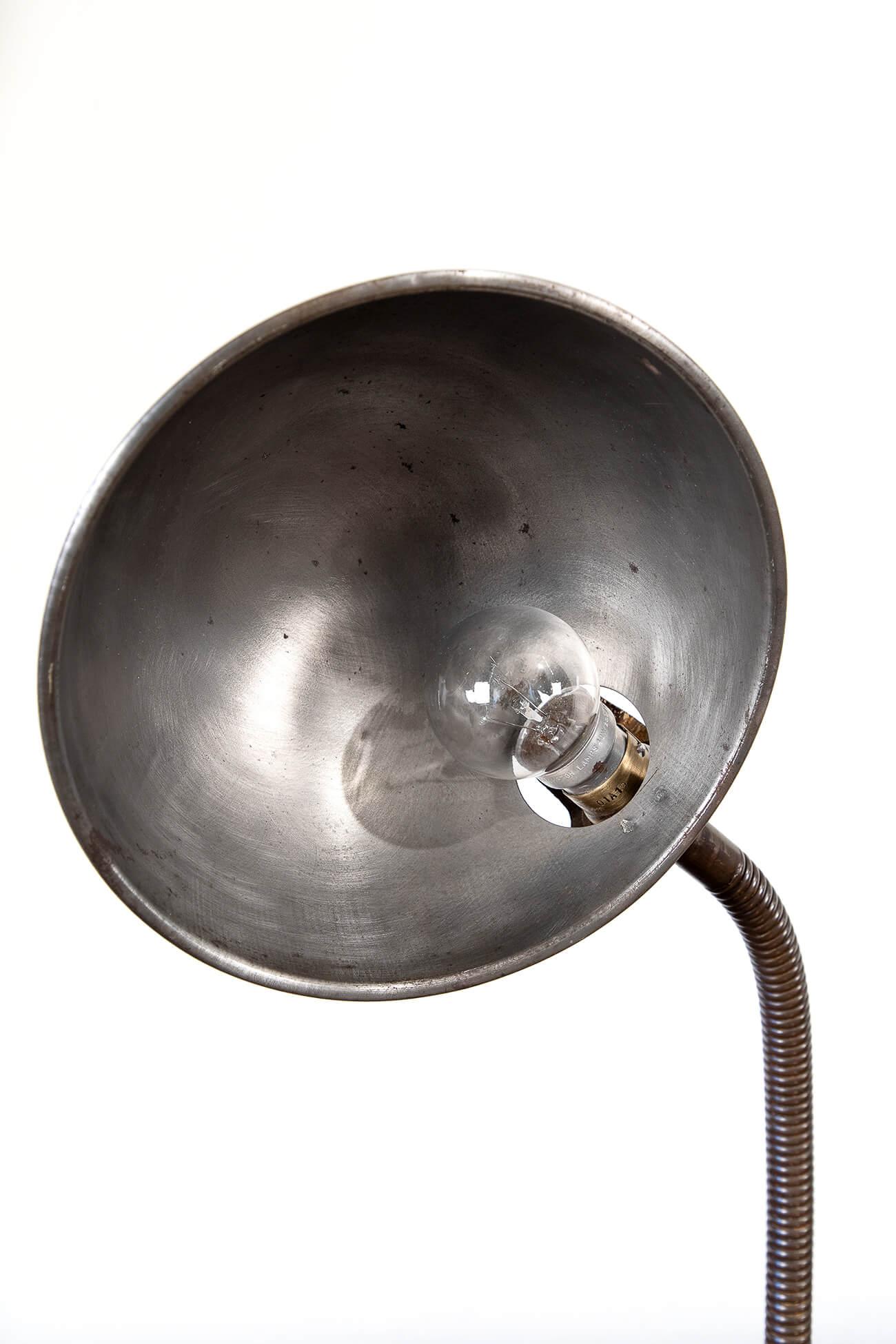 20th Century Gooseneck Desk Lamp with Cast Iron Base, 1920s For Sale