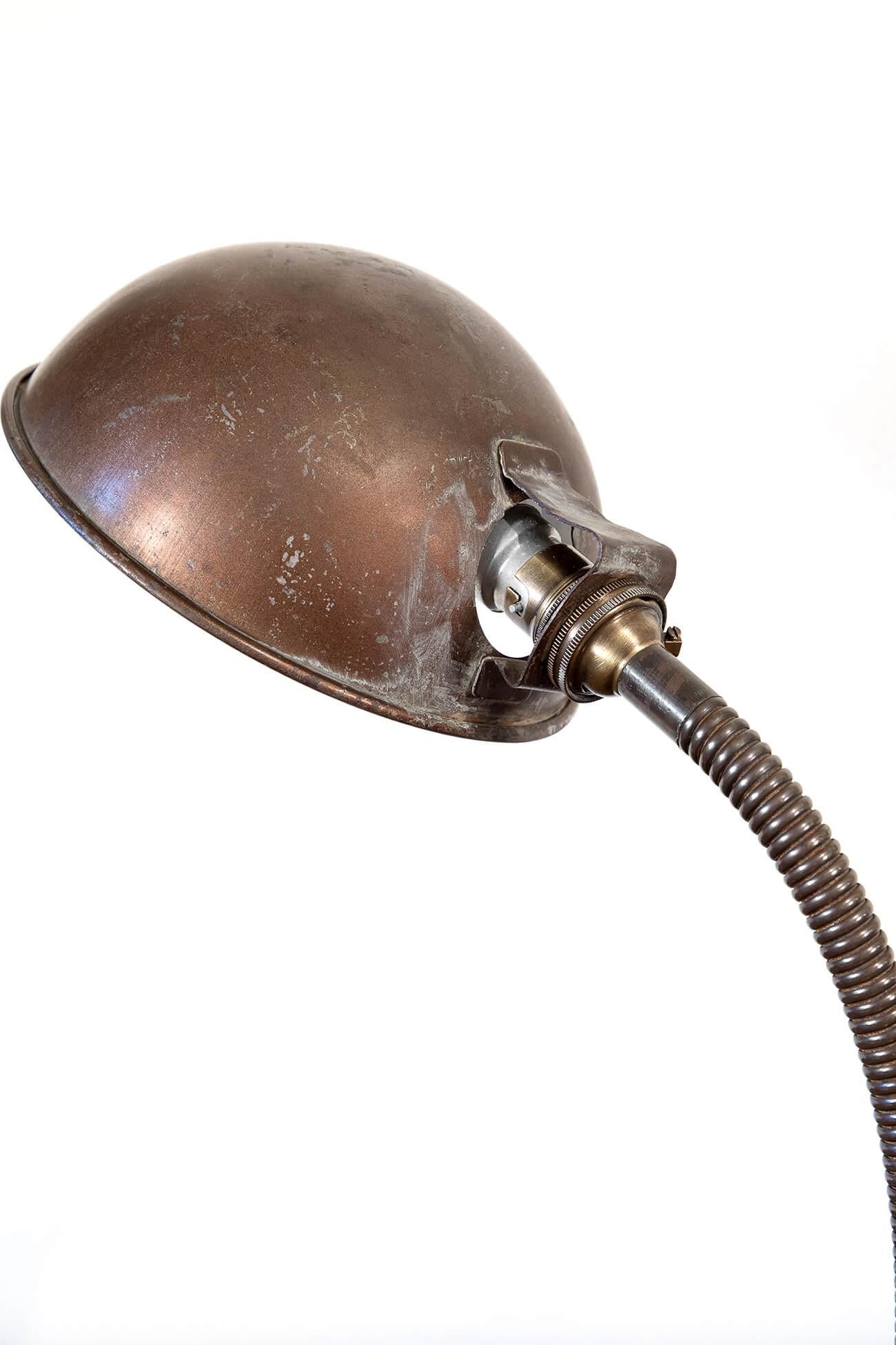Gooseneck Desk Lamp with Cast Iron Base, 1920s For Sale 1
