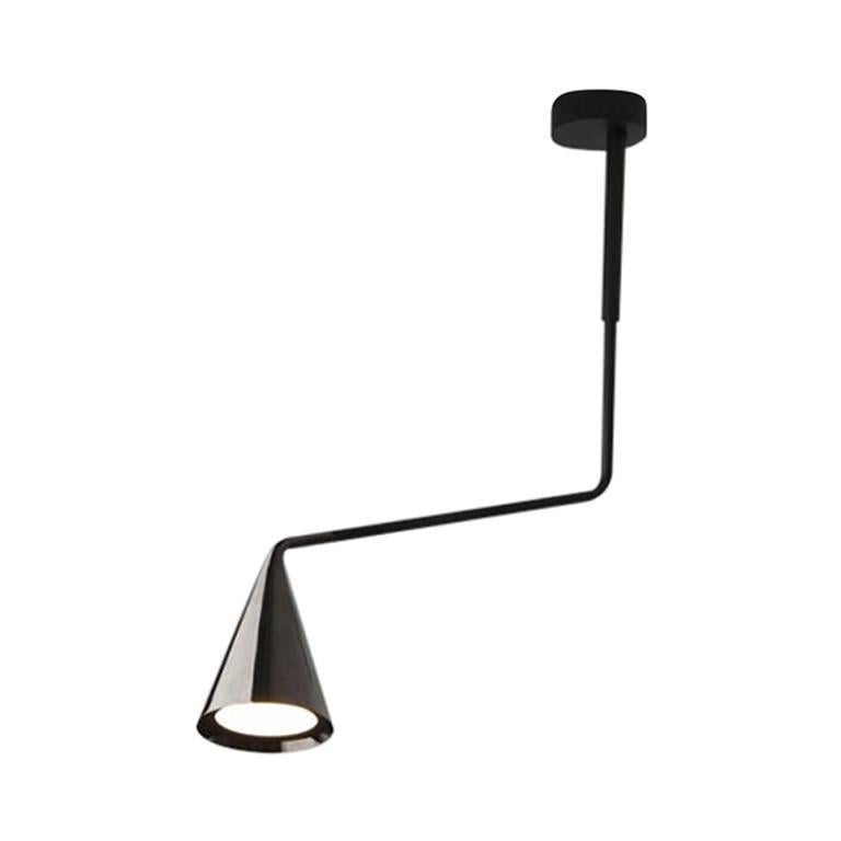 Gordon Conical Diffuser Ceiling Lamp Designed by Corrado Dotti For Sale