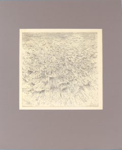 Headland IV - Aguafuerte de Gordon Cook sobre papel japonés