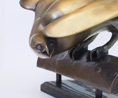 Food or Foe 4/8 (Bronze, bird of prey, red-tailed hawk, motion, strength)