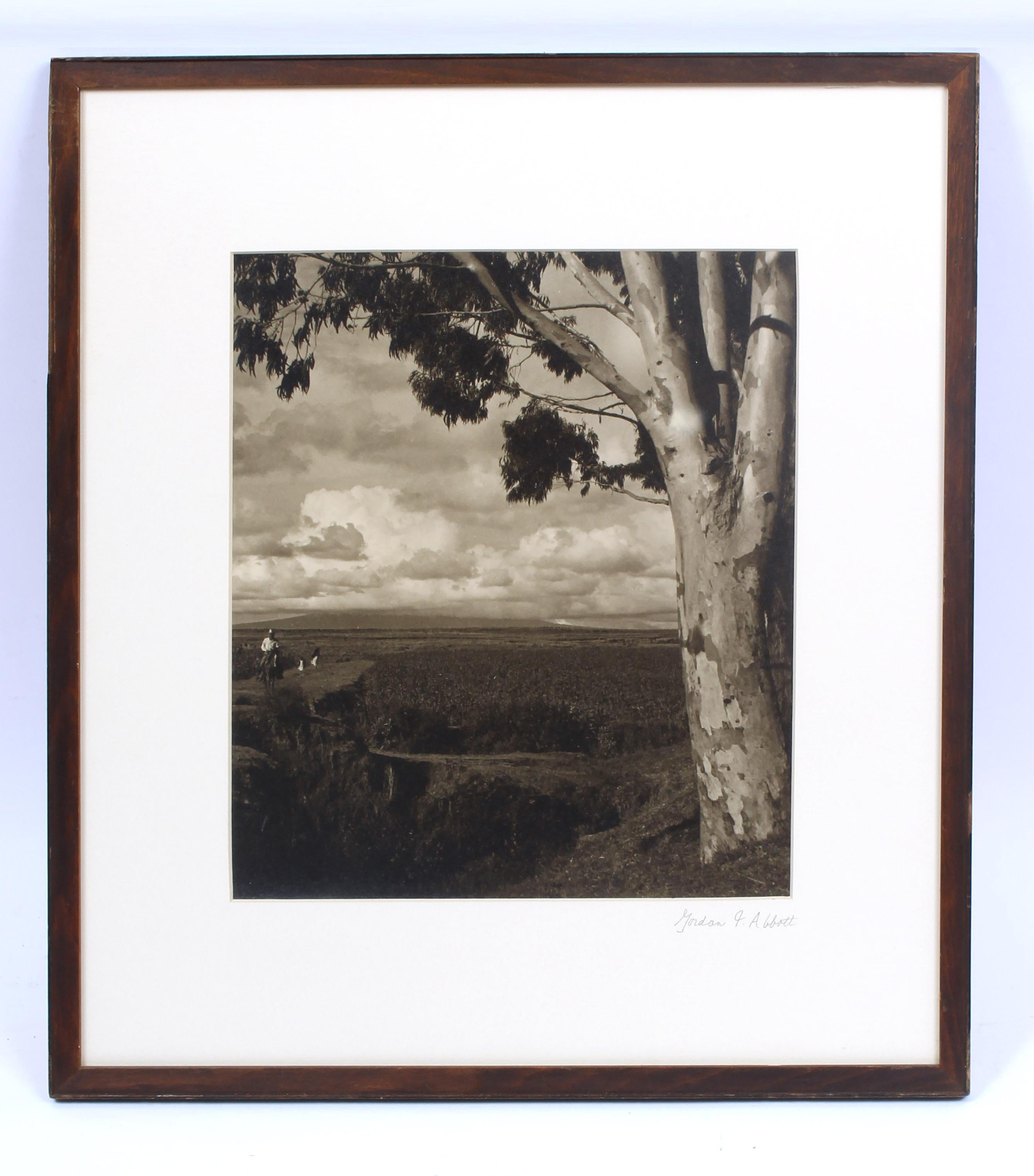 Gordon P. Abbott Landscape Photograph - Original Gordon Abbott Photograph Silver Gelatin Print Framed Museum