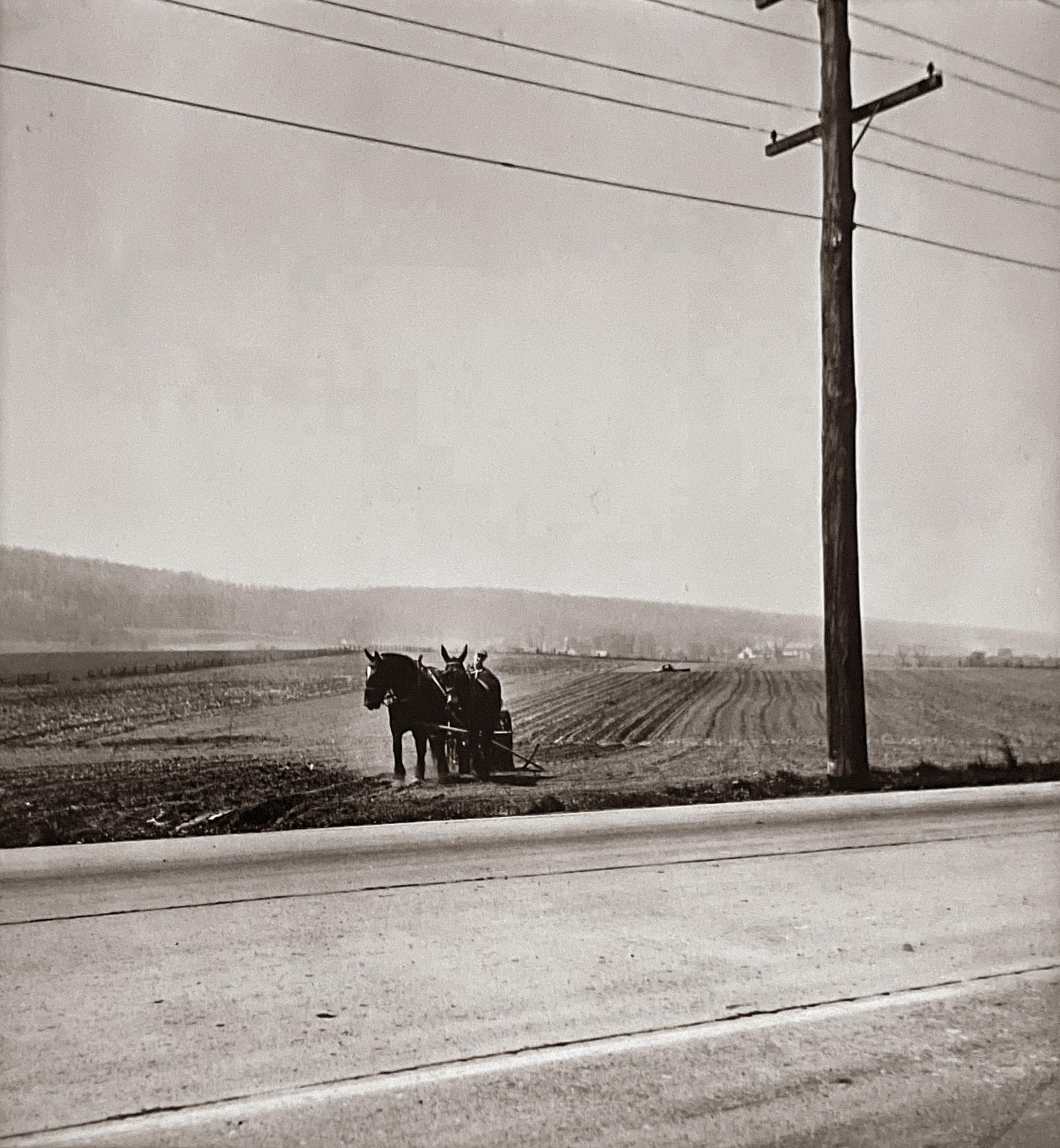 Gordon Parks Landscape Photograph - Farm, road, and telephone lines. 1950