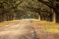WORMSLOE ROAD, Photograph, Canvas (stretched)