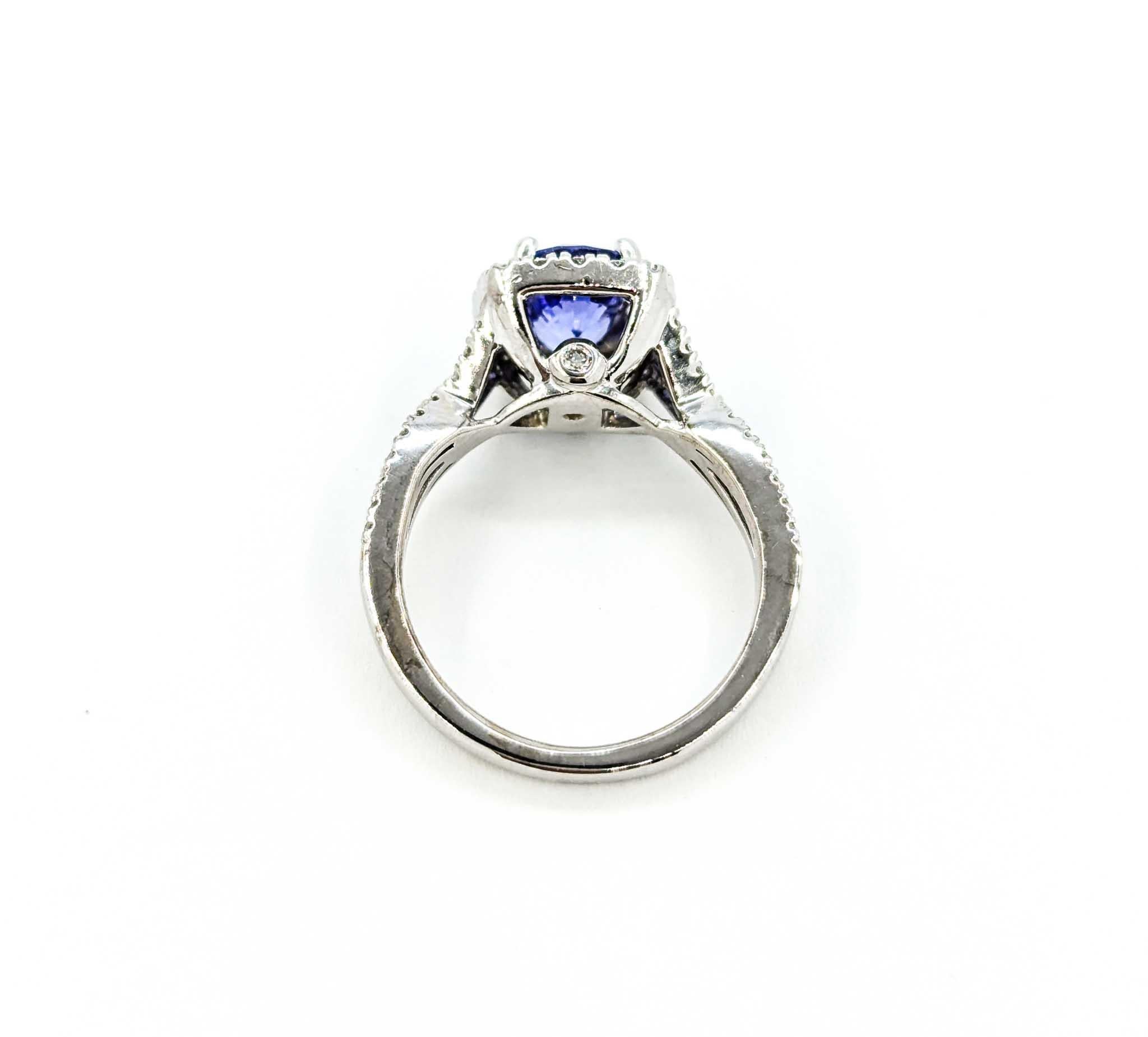 Gorgeous 1.25ct Blue Tanzanite & Diamond Halo Ring in White Gold 2