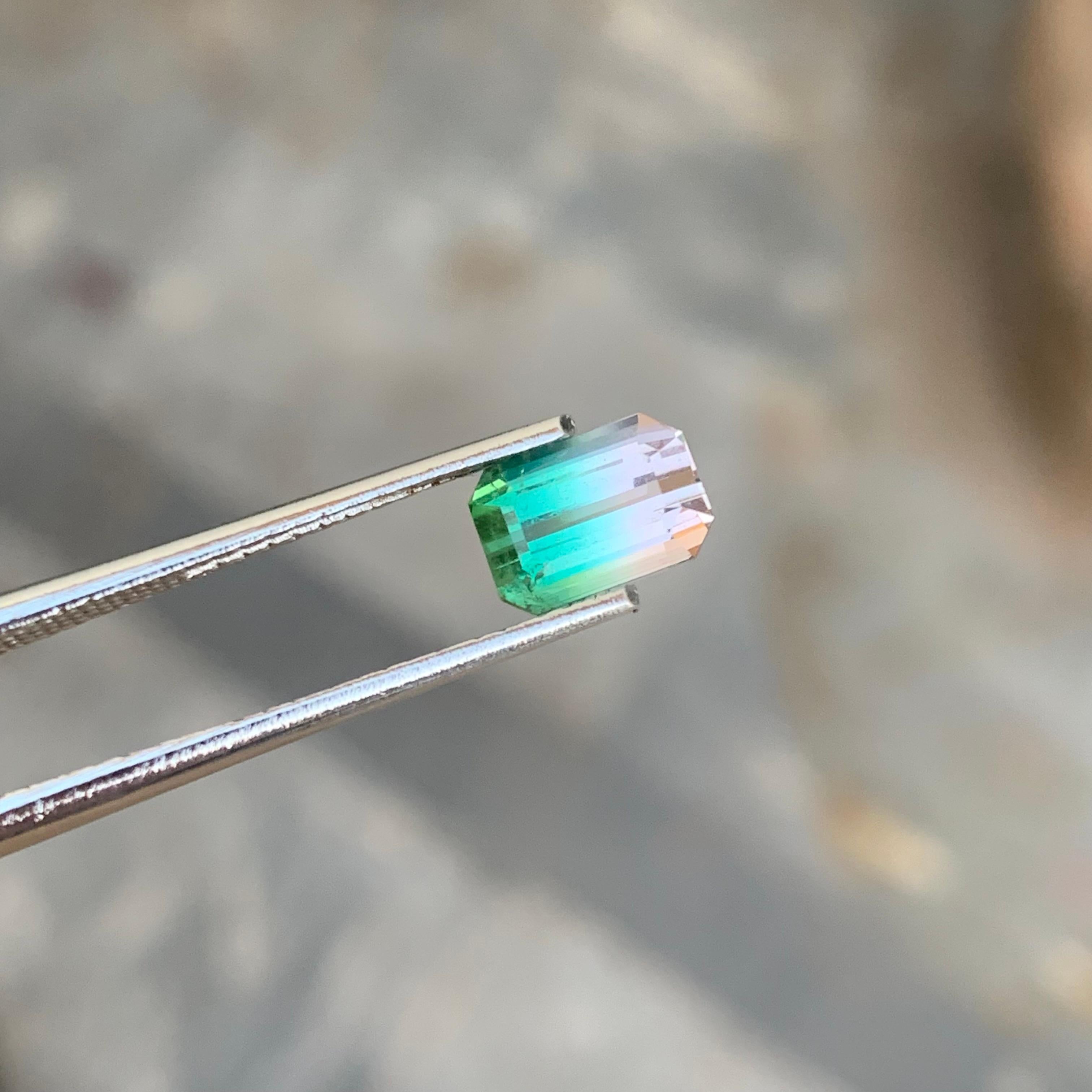 Faceted Bicolor Tourmaline
Weight: 1.60 Carats
Dimension: 7.5x5.2x4.5 Mm
Origin: Afghanistan
Color: Green & Pink
Shape: Emerald Cut
Quality: AAA 
.
Bicolor tourmaline is connected to the heart chakra, which makes it good for cleansing and removing