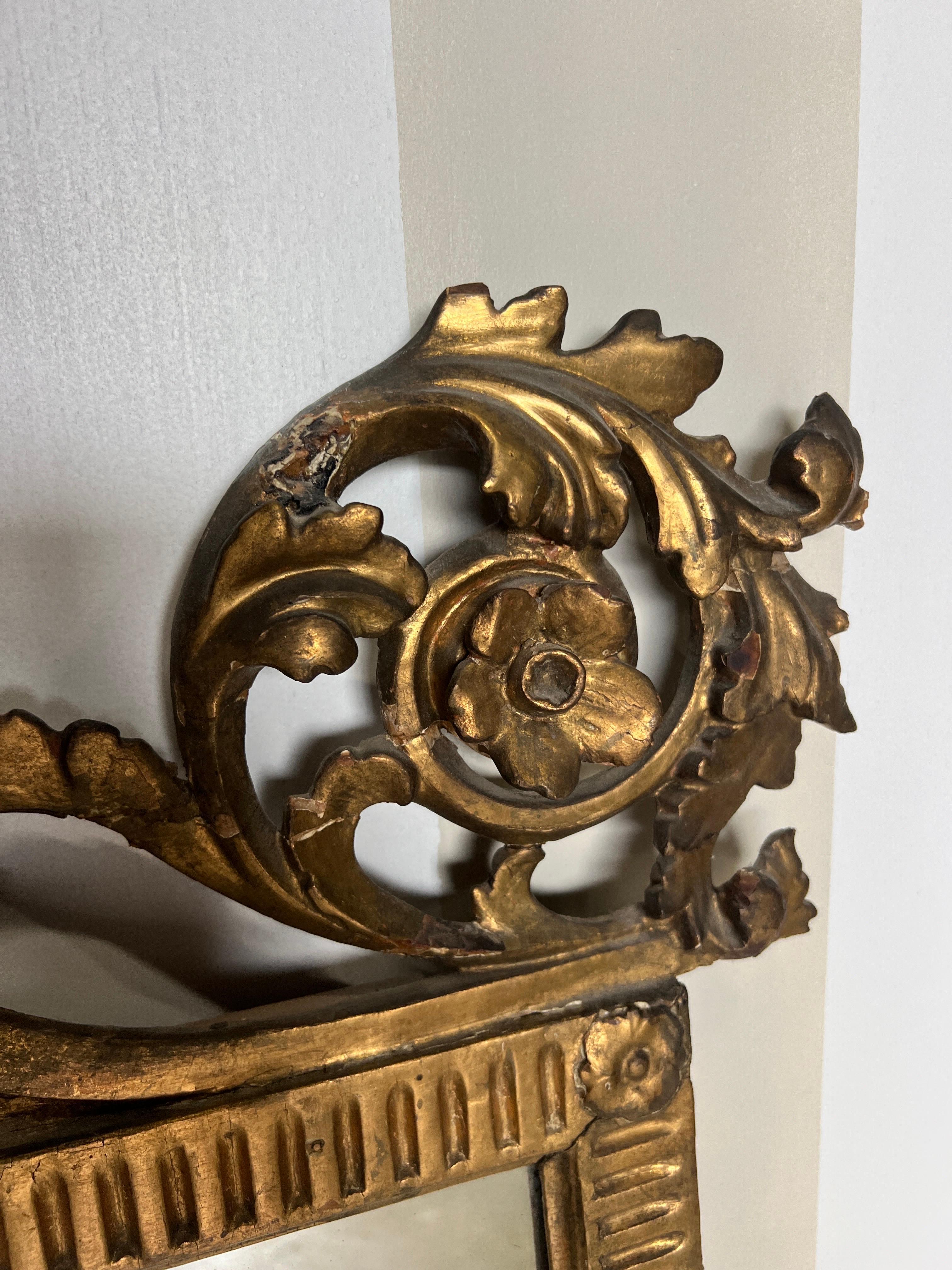 Italiano Splendido specchio neoclassico italiano del XVIII-XIX secolo in legno dorato con delfini in vendita
