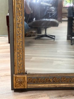 Gorgeous 19th Century Boiserie Panel Mirror