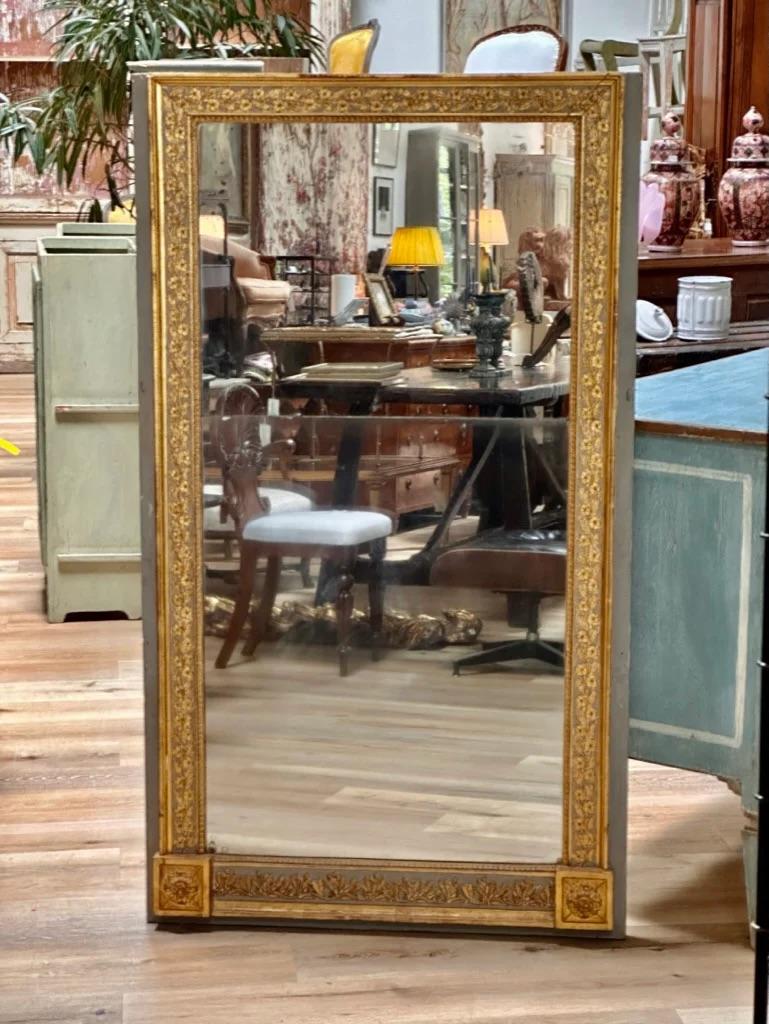 Gorgeous 19th Century Boiserie Panel Mirror In Good Condition In Charlottesville, VA