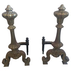 Antique Gorgeous 19th Century Pair of Bronze Andirons Chenets