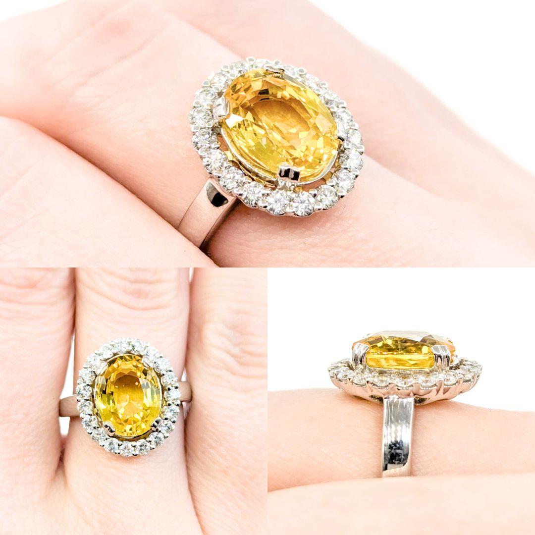 Wunderschöner Halo-Ring aus 18 Karat Weißgold mit 4,75 Karat gelbem Saphir und Diamant

Wir stellen Ihnen diesen wunderschönen Ring mit gelbem Saphir und Diamanten vor, der aus 18 Karat Weißgold gefertigt ist. Der Ring verfügt über eine