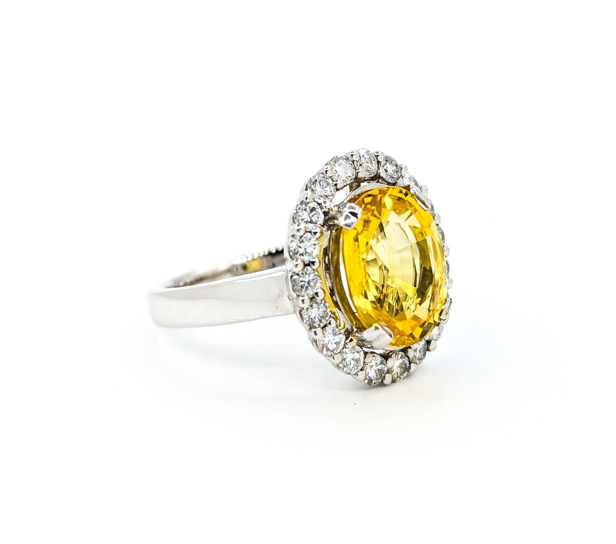 Wunderschöner Halo-Ring aus 18 Karat Weißgold mit 4,75 Karat gelbem Saphir und Diamant Damen