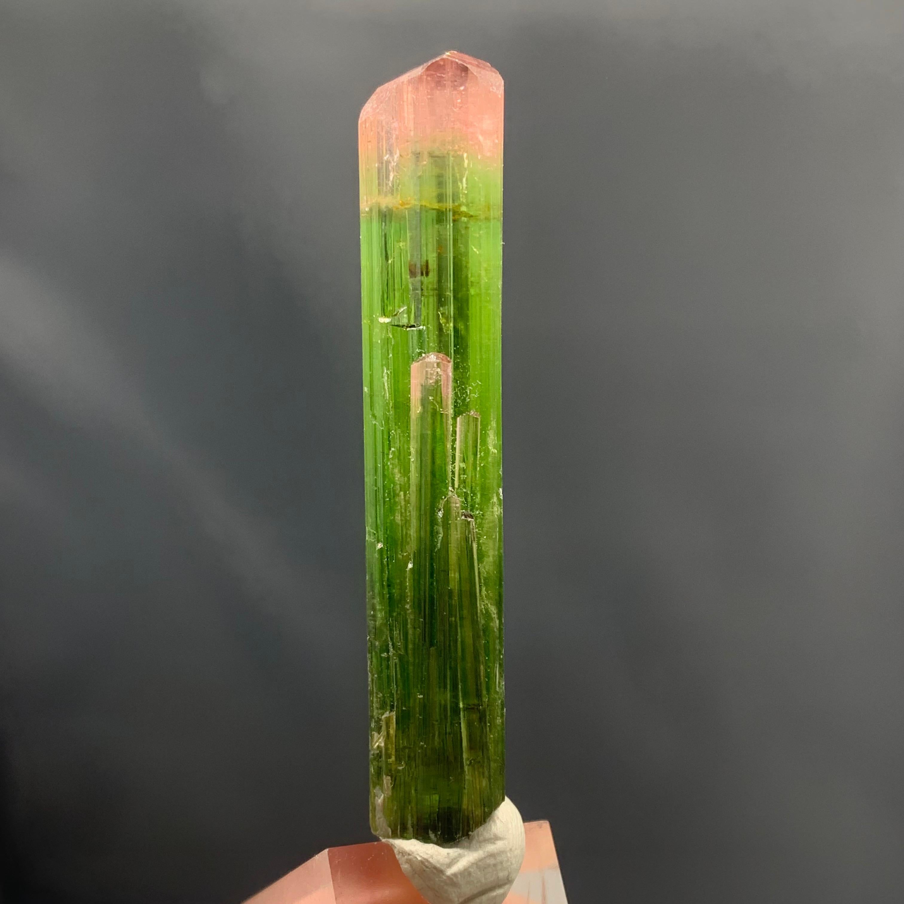 Gorgeous Bi Color Tourmaline crystal from paprok mine Afghanistan 
WEIGHT: 53.65 Carat 
DIMENSION: 5.7 x 1.0 x 0/9 Cm
ORIGIN : Paprok Mine, Afghanistan
COLOR: Pink And Green
TREATMENT: None
Tourmaline is an extremely popular gemstone; the name