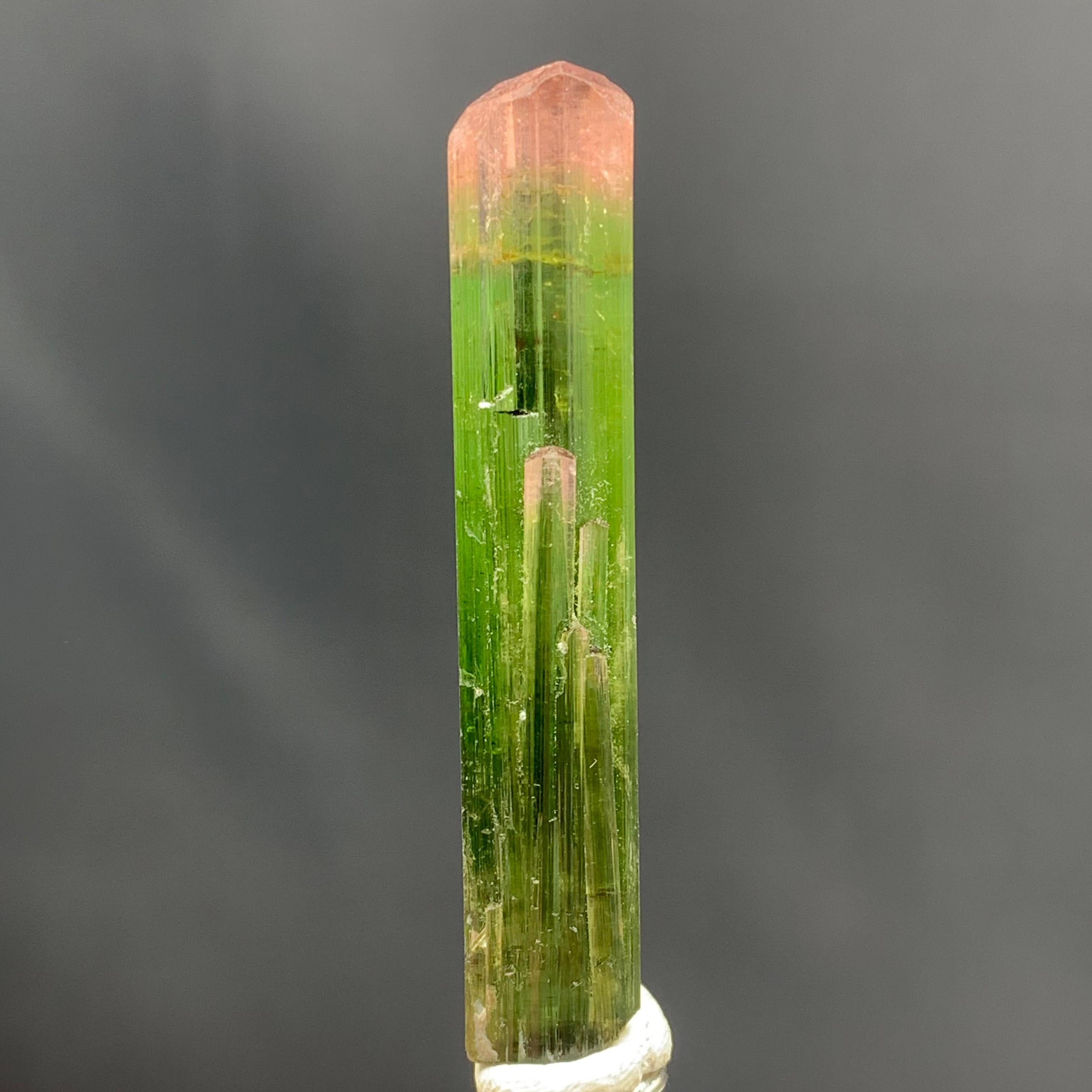 Gorgeous 53.65 Carat Bi Color Tourmaline Crystal From Paprok Mine Afghanistan For Sale 2