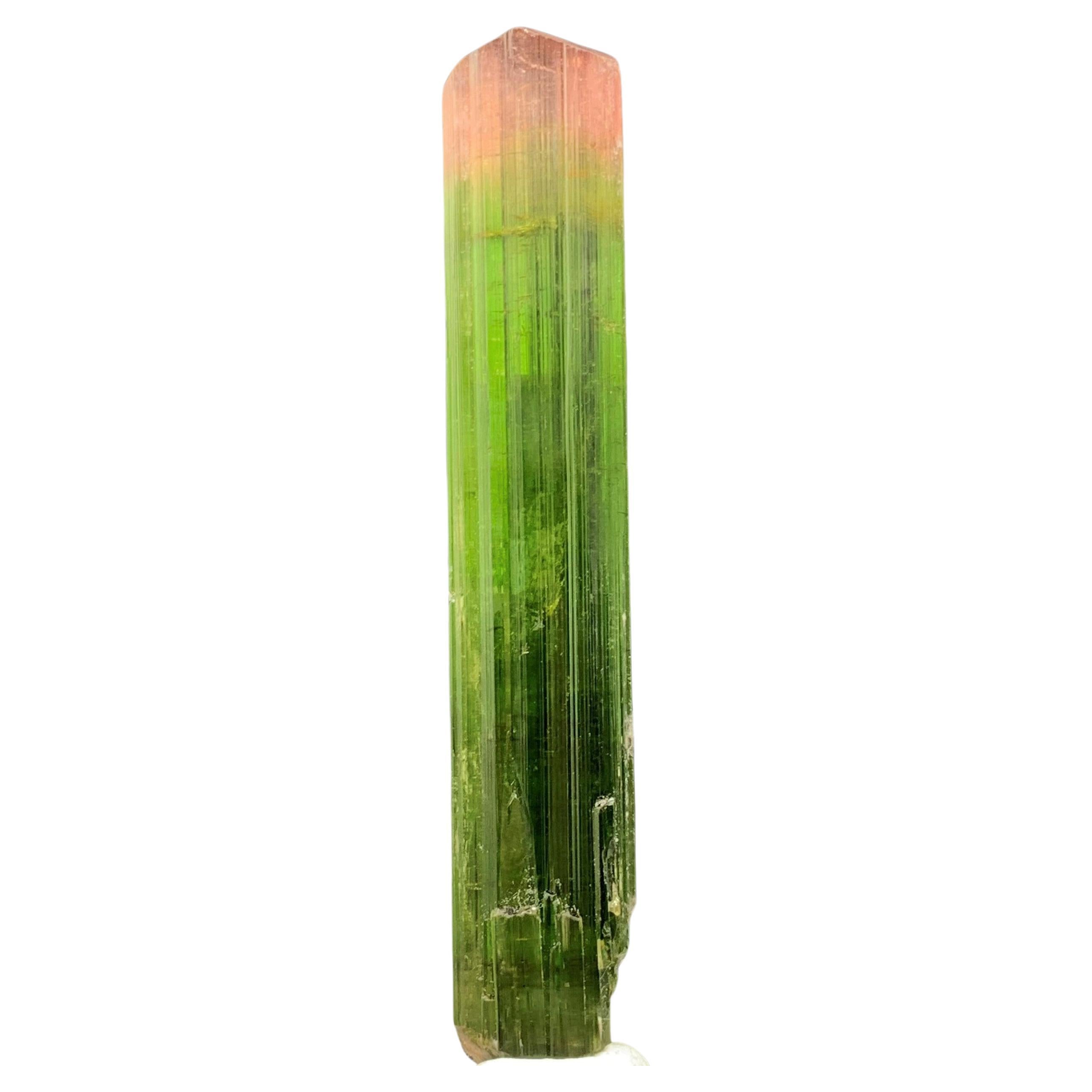 Gorgeous 53.65 Carat Bi Color Tourmaline Crystal From Paprok Mine Afghanistan For Sale